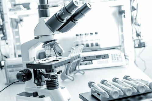 医疗教学器材视角下 县城高中与北京四中的鸿沟有多大？